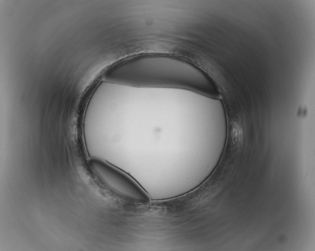 X0000110930676200907021524