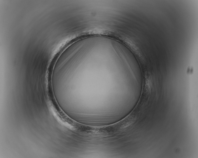 X0000110930678200907021524