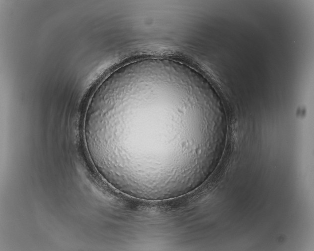 X0000110930679200907021524