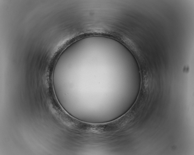 X0000110930680200907021524