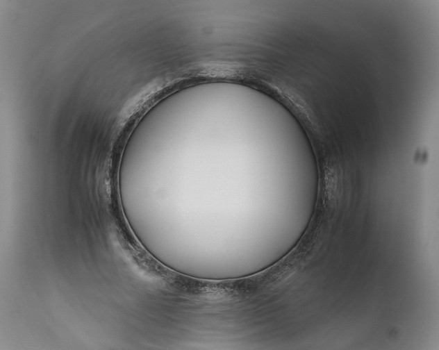 X0000110930682200907021524