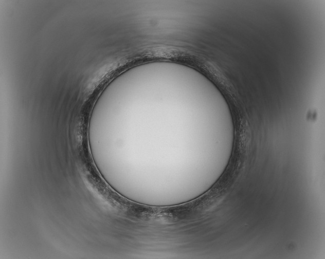 X0000110930683200907021524