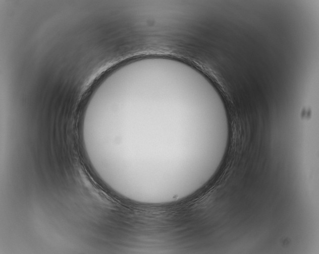 X0000110930684200907021524