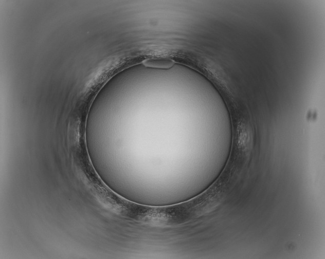 X0000110930685200907021523