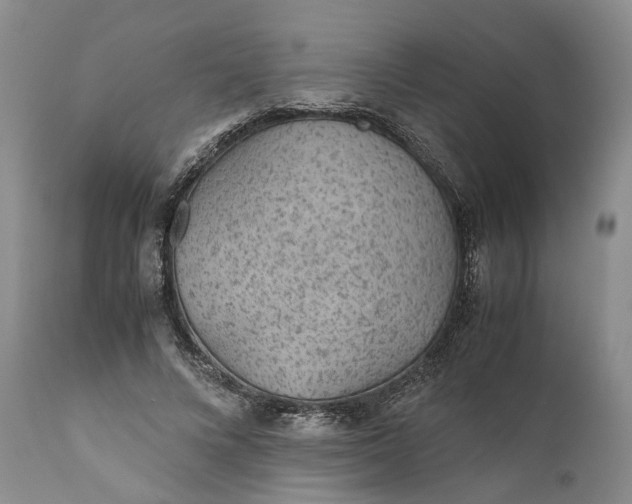 X0000110930688200907021523