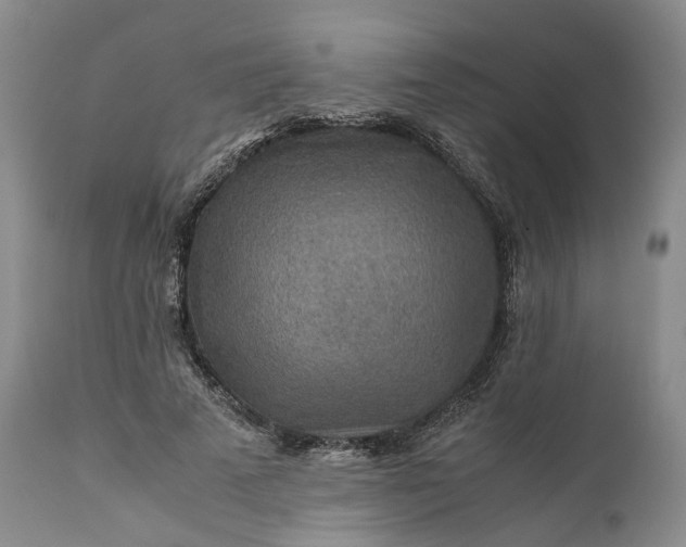 X0000110930689200907021523