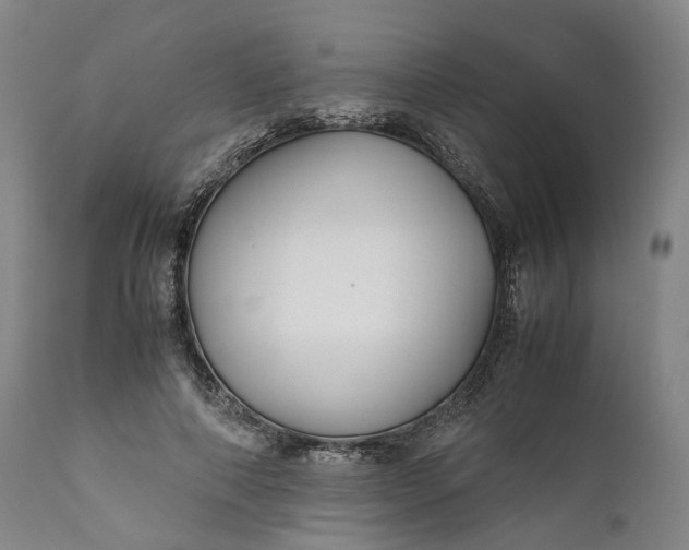 X0000110930690200907021523