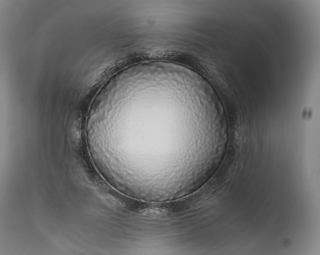 X0000110930691200907021523