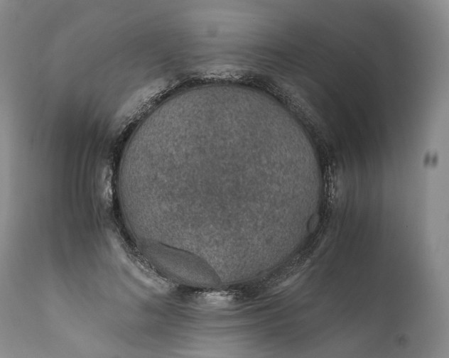 X0000110930692200907021523