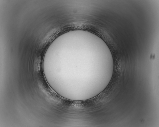 X0000110930694200907021523