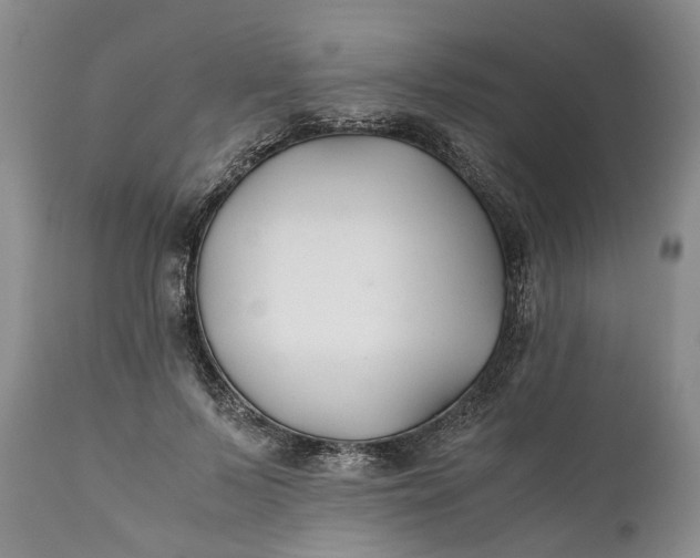 X0000110930695200907021523