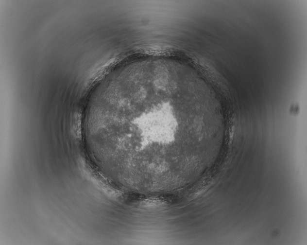 X0000110930696200907021523