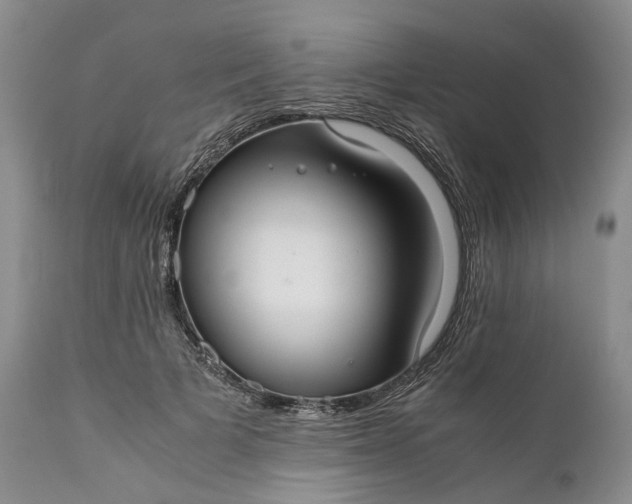 X0000110930697200907021523