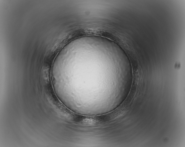 X0000110930699200907021523