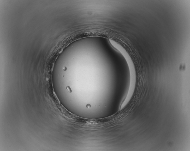 X0000110930701200907021523