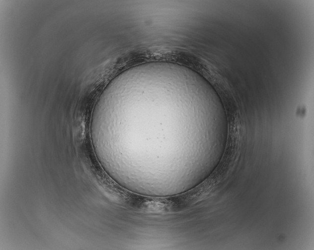 X0000110930703200907021523