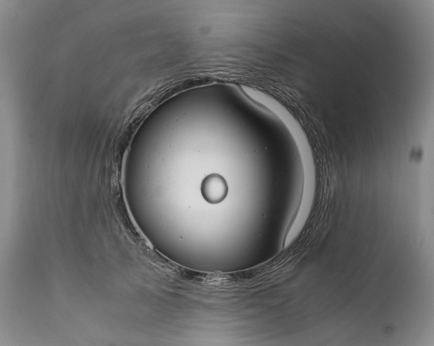 X0000110930705200907021523