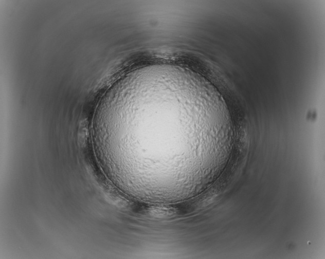X0000110930707200907021523