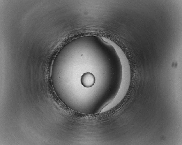 X0000110930708200907021523