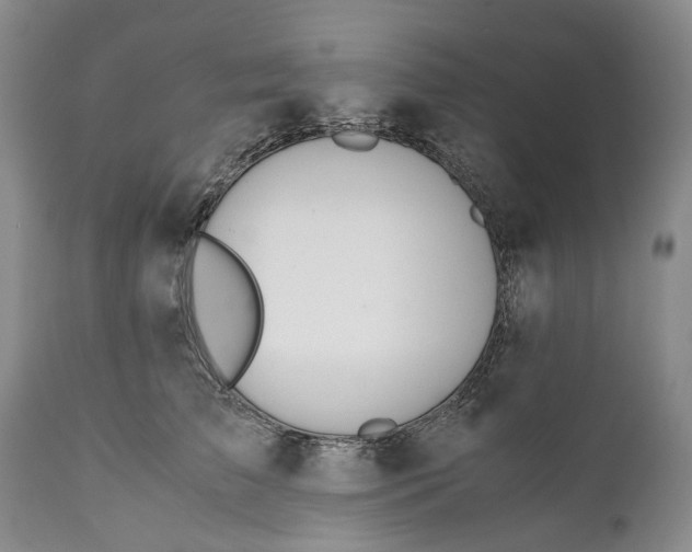 X0000110930709200907021523