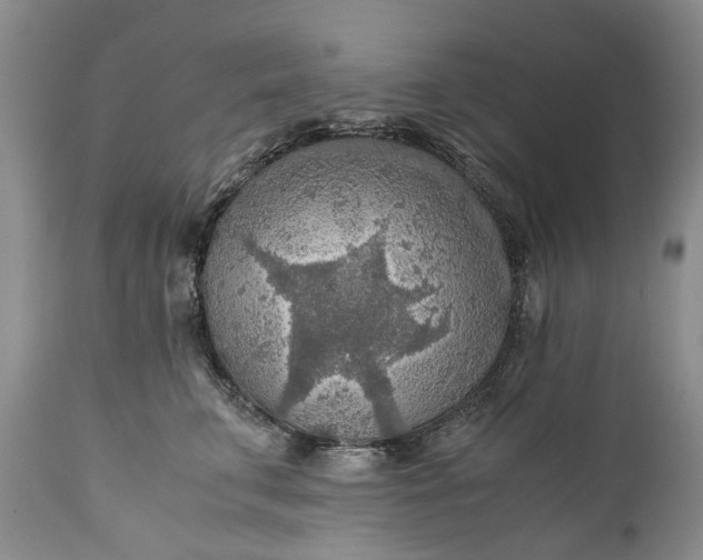X0000110930711200907021523