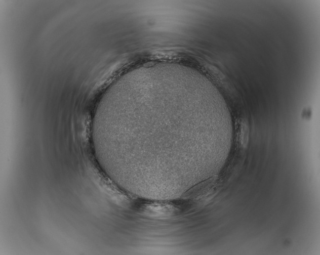 X0000110930712200907021523