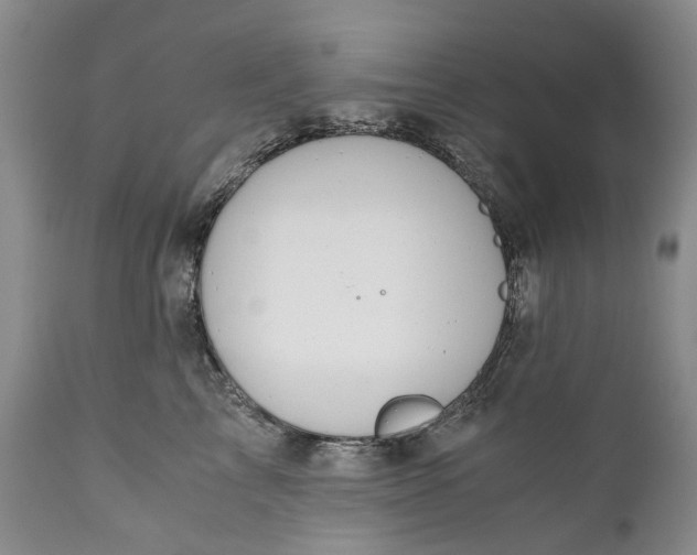 X0000110930713200907021523