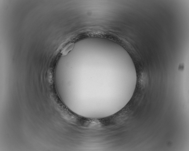 X0000110930715200907021523