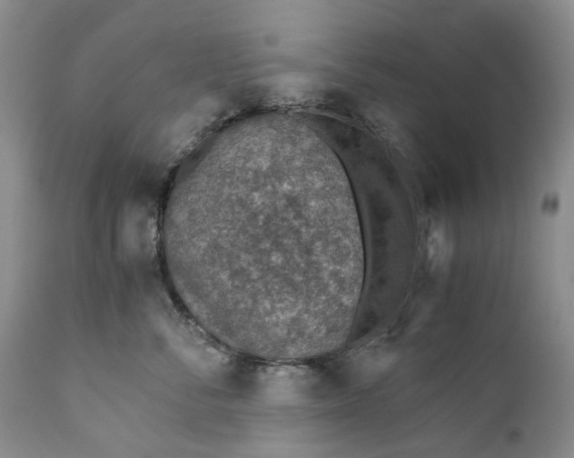 X0000110930716200907021523