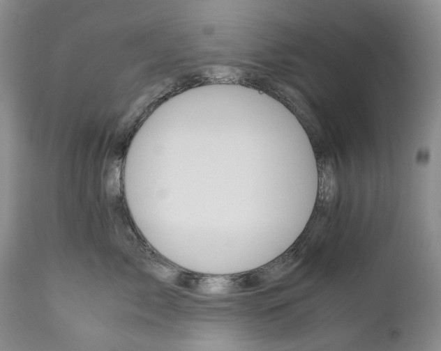 X0000110930717200907021523