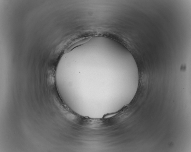 X0000110930719200907021523