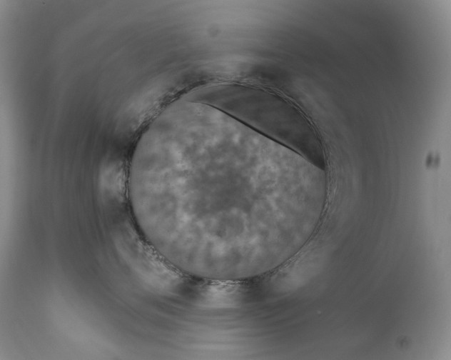 X0000110930720200907021523
