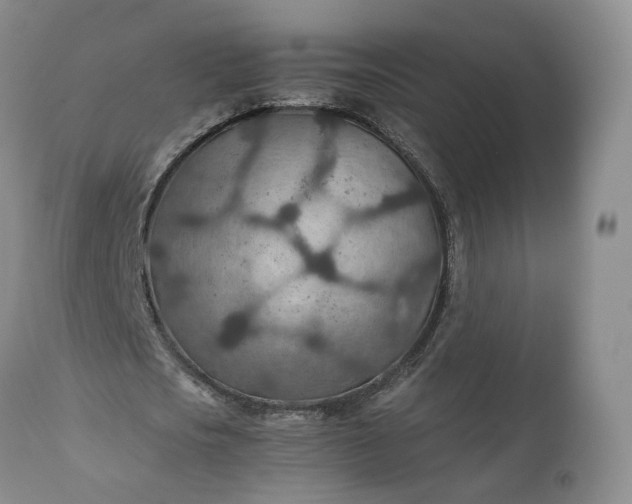 X0000110930721200907021522