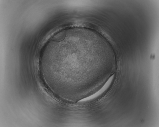 X0000110930722200907021522
