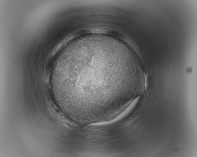 X0000110930723200907021522