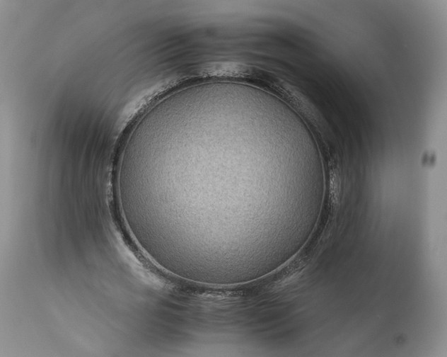 X0000110930725200907021522
