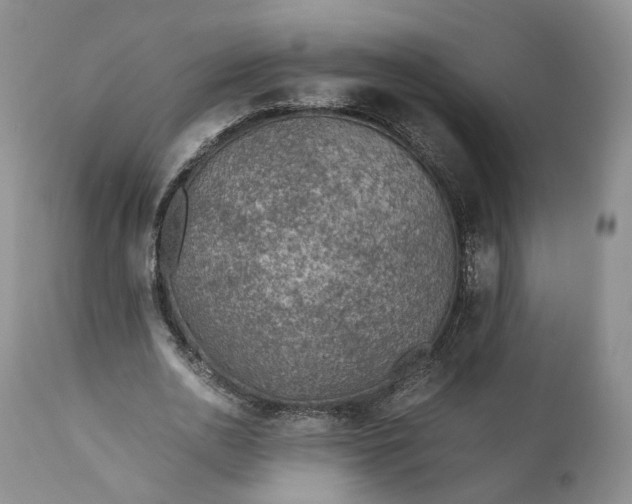 X0000110930726200907021522
