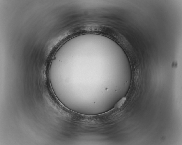 X0000110930727200907021522