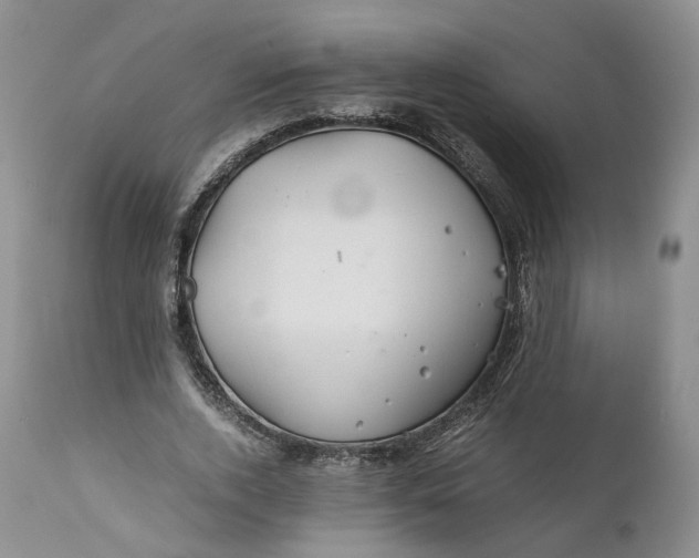 X0000110930728200907021522