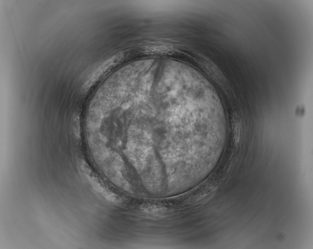 X0000110930729200907021522