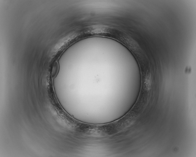 X0000110930732200907021522