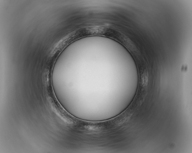 X0000110930733200907021523