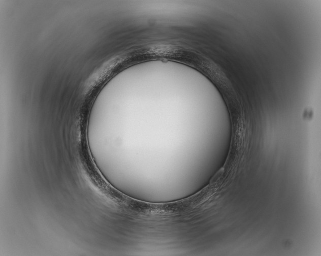 X0000110930734200907021523