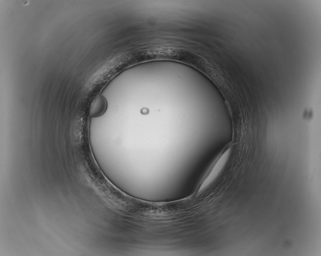 X0000110930735200907021523