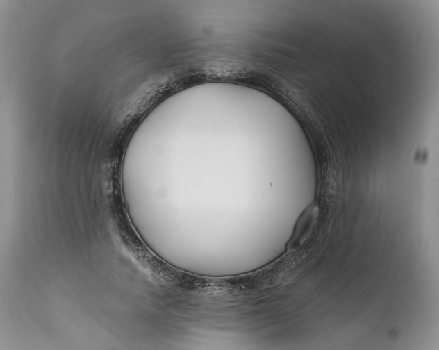 X0000110930738200907021523
