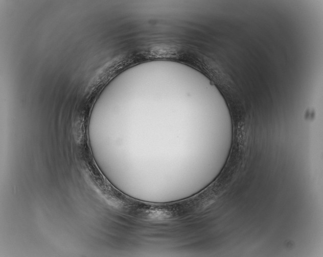 X0000110930741200907021523