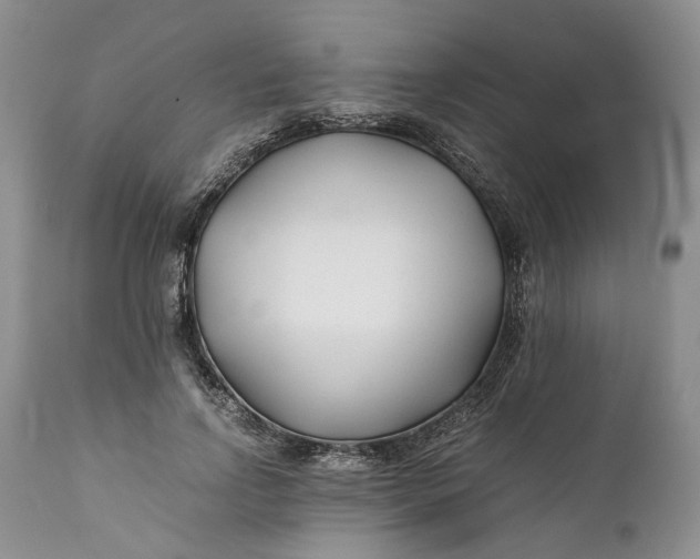 X0000110930742200907021523