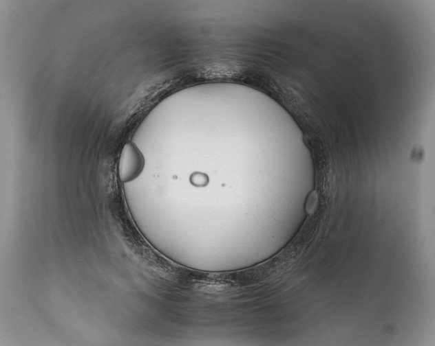 X0000110930743200907021523