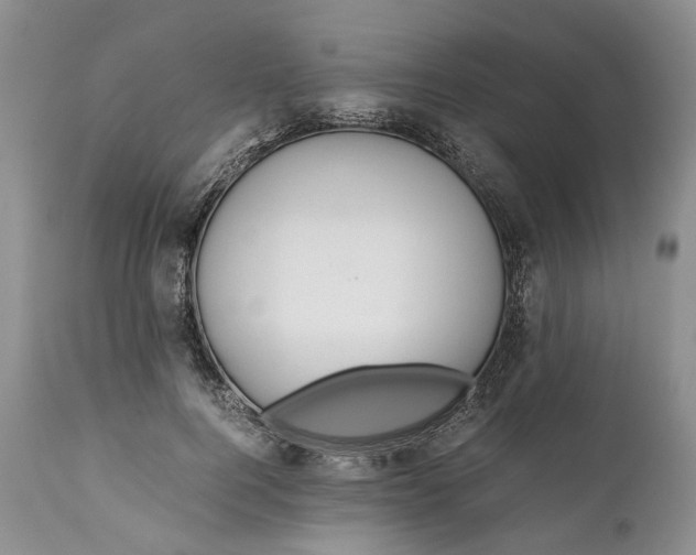 X0000110930744200907021523