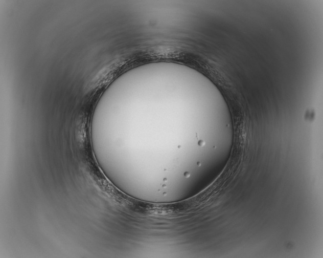 X0000110930746200907021523